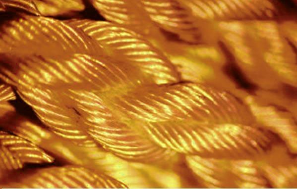 8 Kollu Anti K�v�lc�m Mix Halat